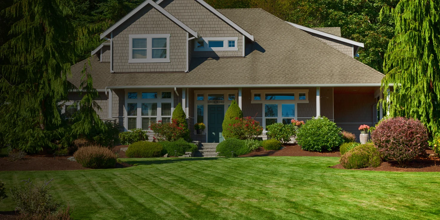 total brush removal Hero 3