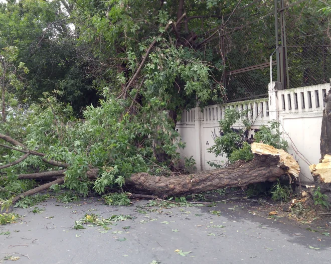 total brush removal c