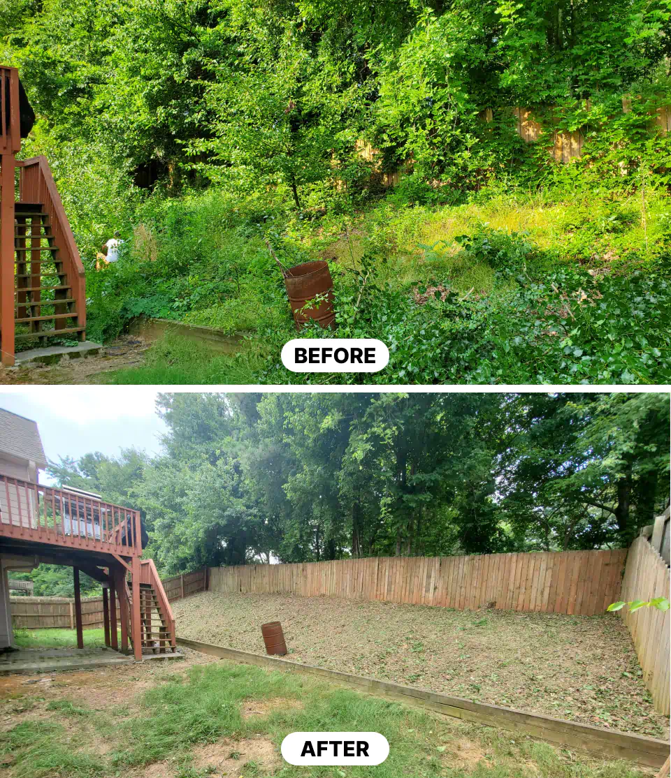 brush removal services (1)