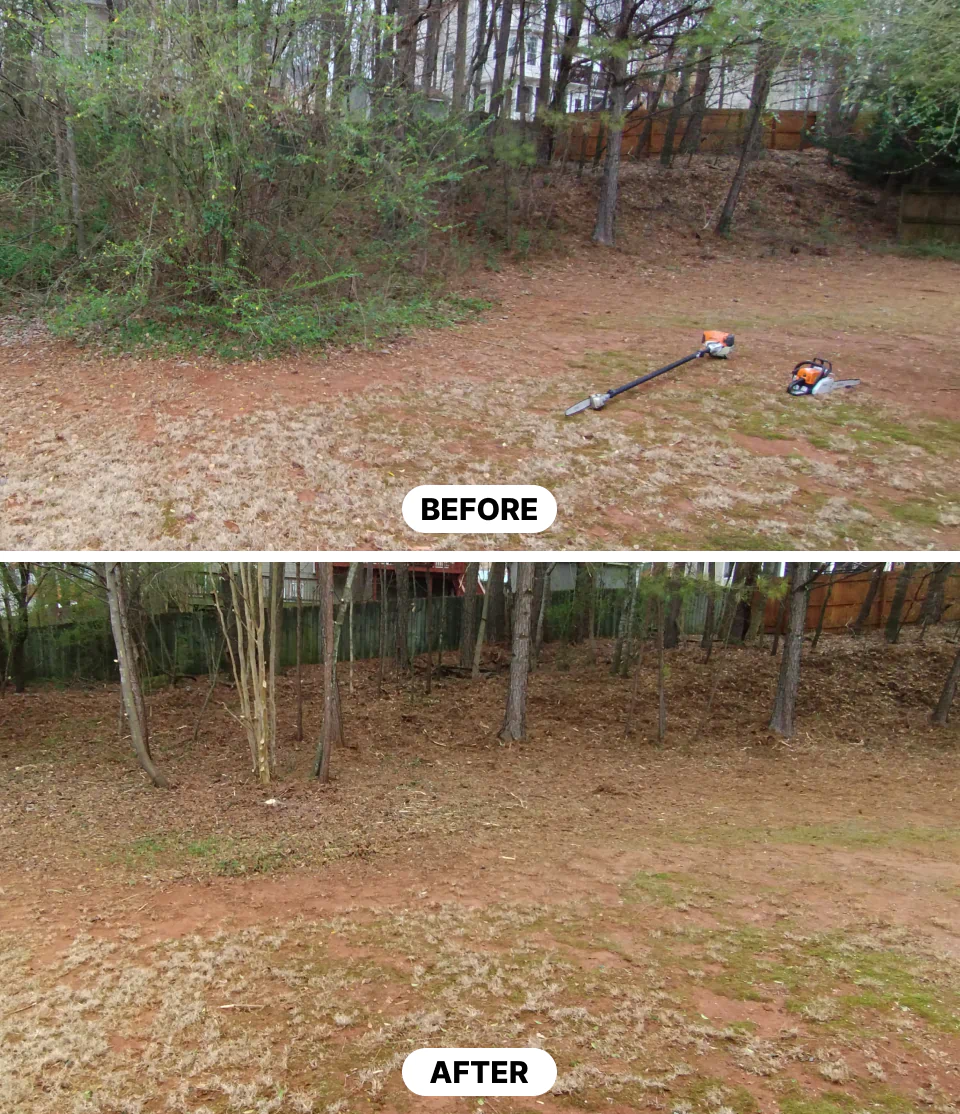 land clearing services (1)