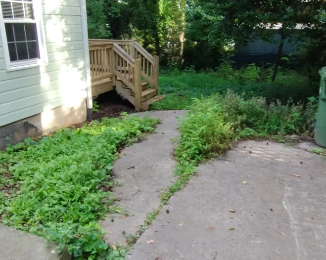 Landscaping Company (3)