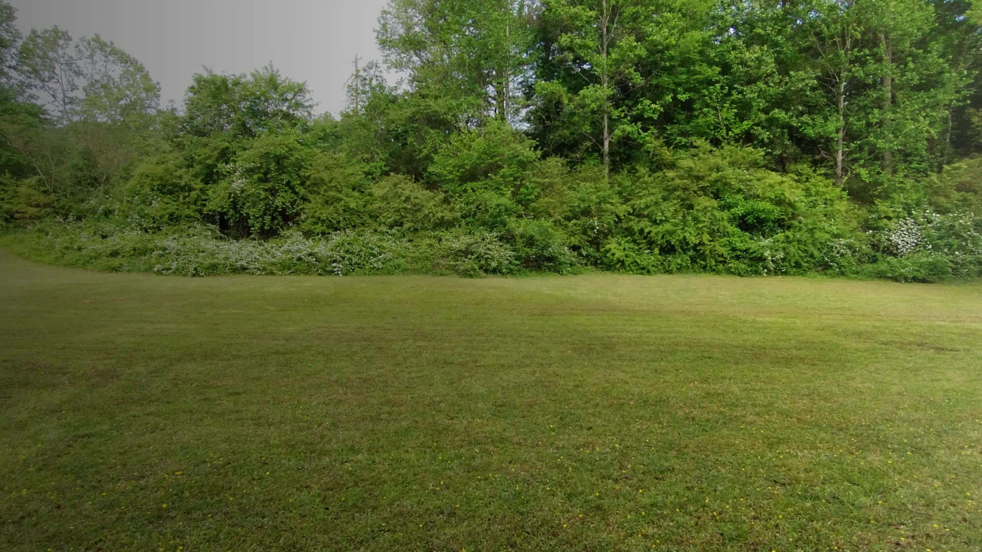 Landscaping Company (4)